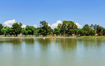 Scenic lake view